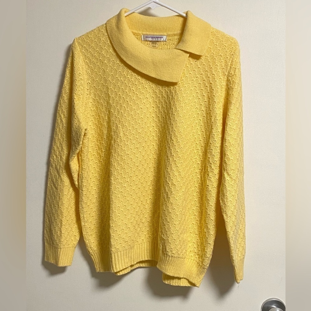 ⭐️HOST Pick⭐️ Allison Daley Petite Knitted Sweater, size Large
